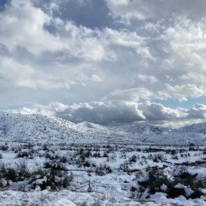 Meet your Posher, Jazmin